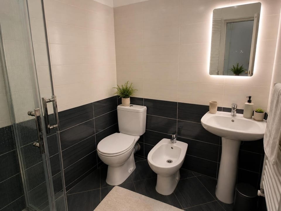 Bathroom, bidet, towels
