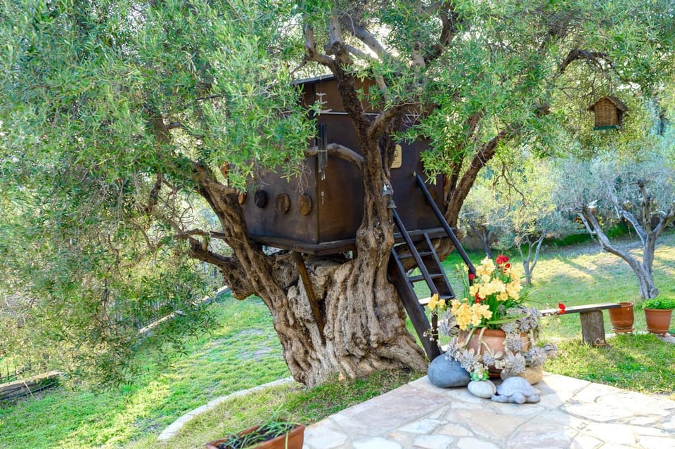 Natural landscape, Garden, Garden view