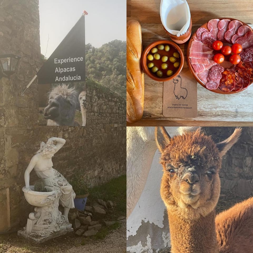 Food and drinks, Animals, Food