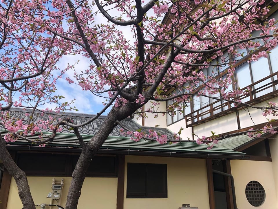Spring, Garden view