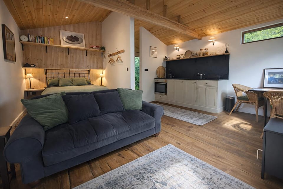 Bed, Kitchen or kitchenette, Seating area, Bedroom