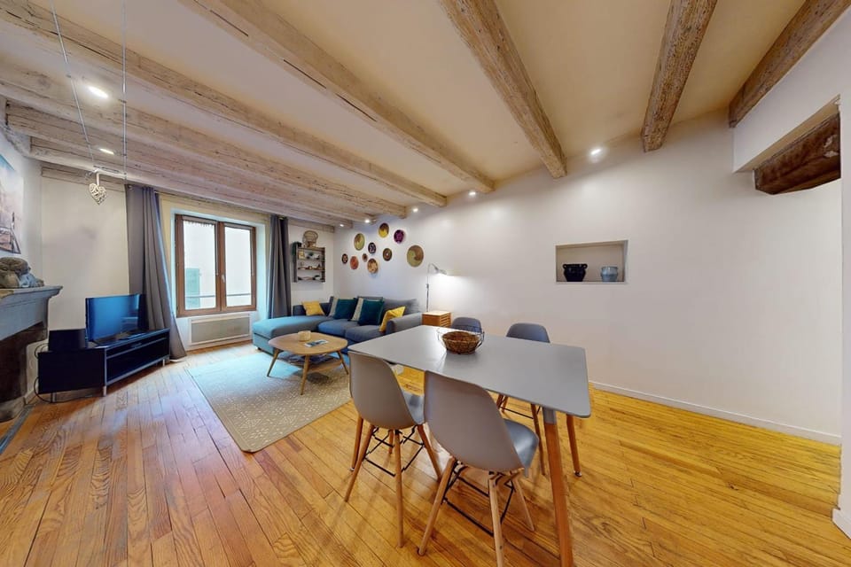 Le Cocon Rousseau - Pretty T2 in Old Town Apartment in Annecy