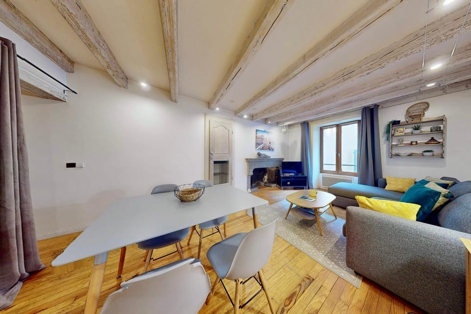 Le Cocon Rousseau - Pretty T2 in Old Town Apartment in Annecy