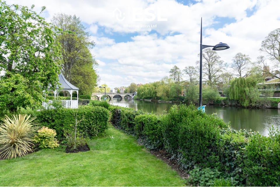 Day, Natural landscape, Garden, Garden view, River view