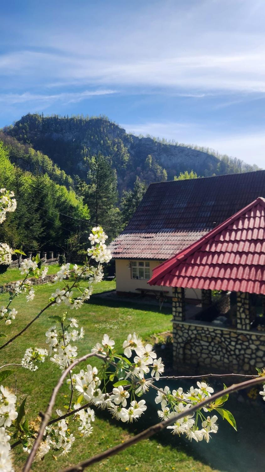Natural landscape, Mountain view