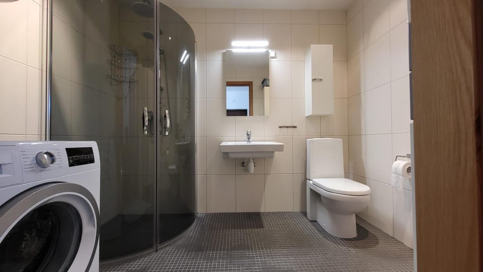 Toilet, Bathroom, washing machine
