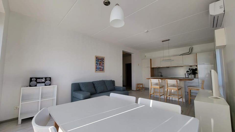 Living room, kitchen