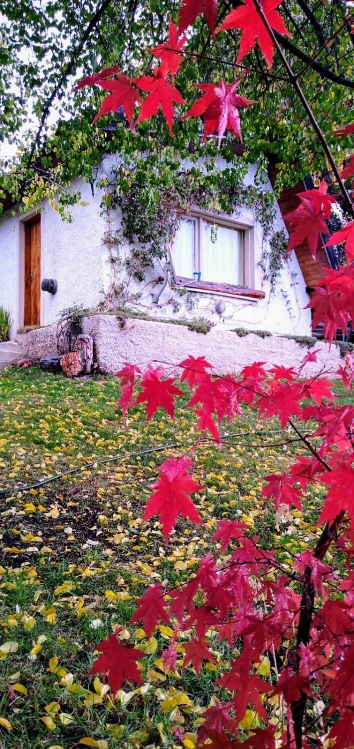 Garden, Autumn