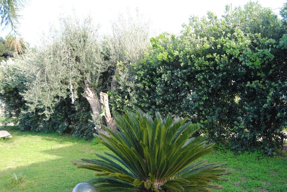 Appartamento uso turistico Villa Barbara House in Sicily