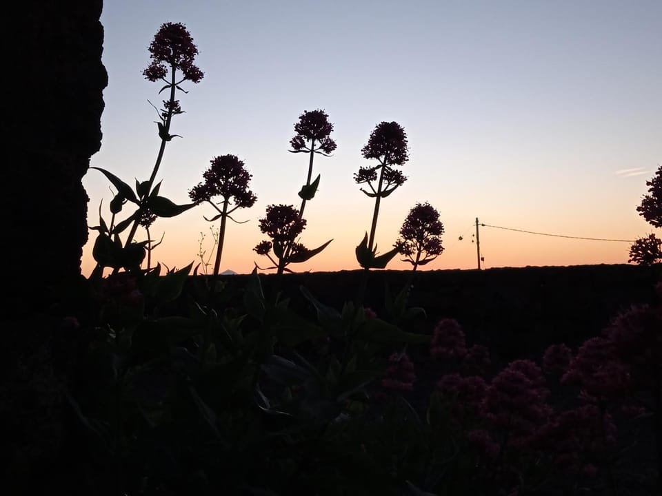Natural landscape, Sunrise
