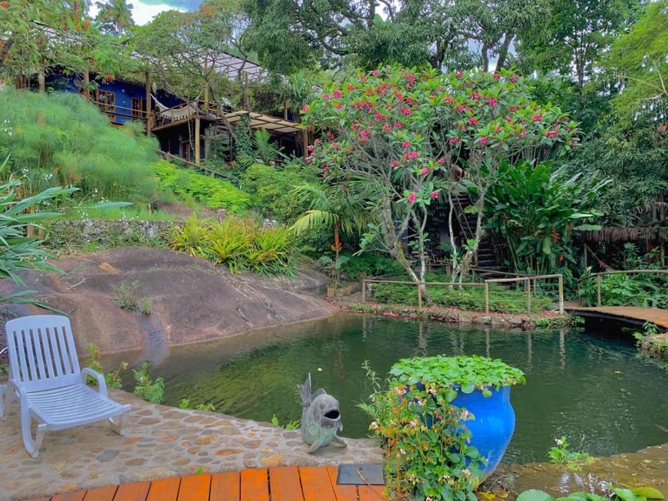 Garden, Swimming pool