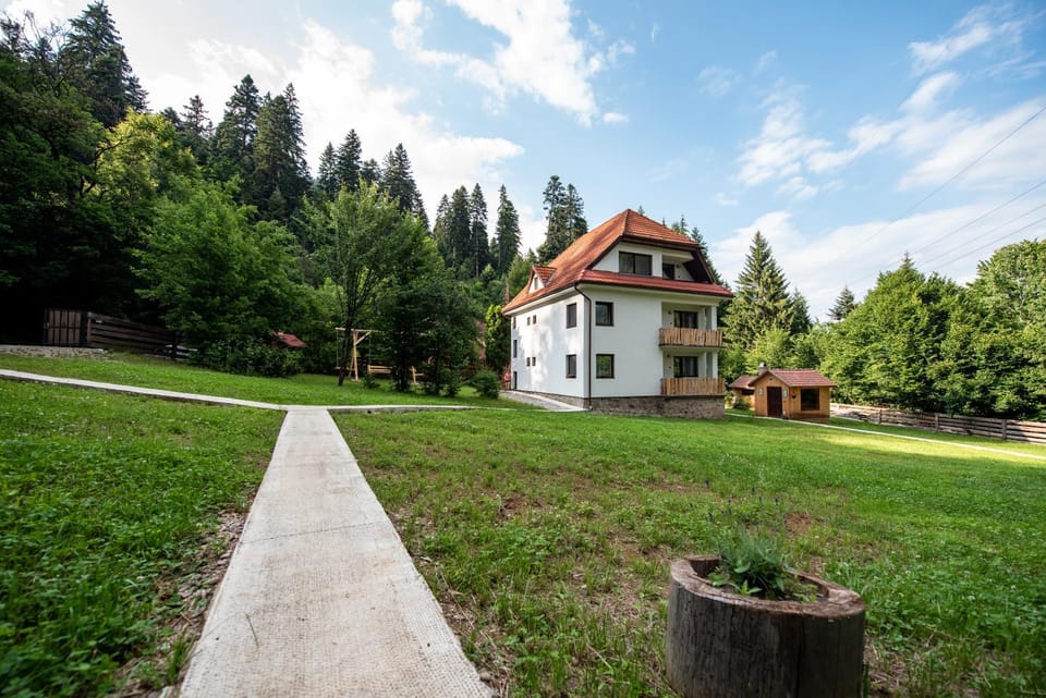 Forest Resort Bed and Breakfast in Brașov County