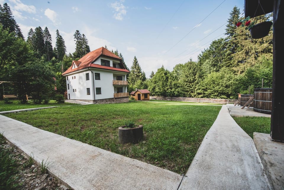 Forest Resort Bed and Breakfast in Brașov County