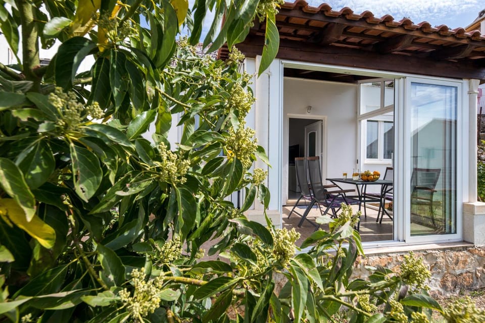 Patio, Garden, Garden view