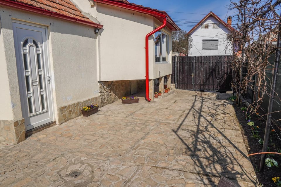 Property building, Day, Garden, Garden view, Inner courtyard view