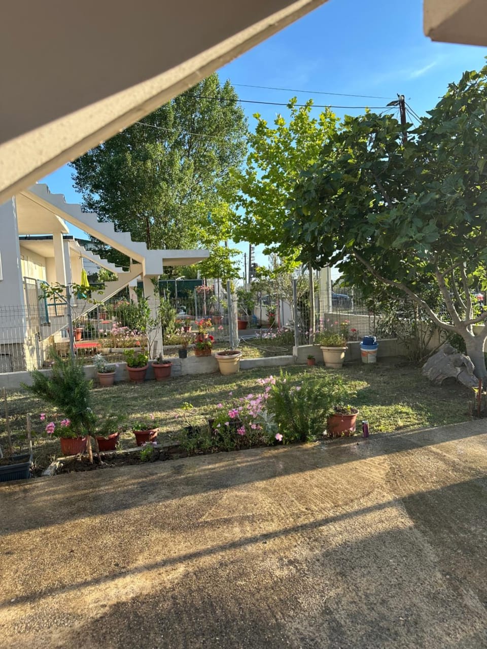 Property building, Spring, Day, Garden, Garden view, Parking