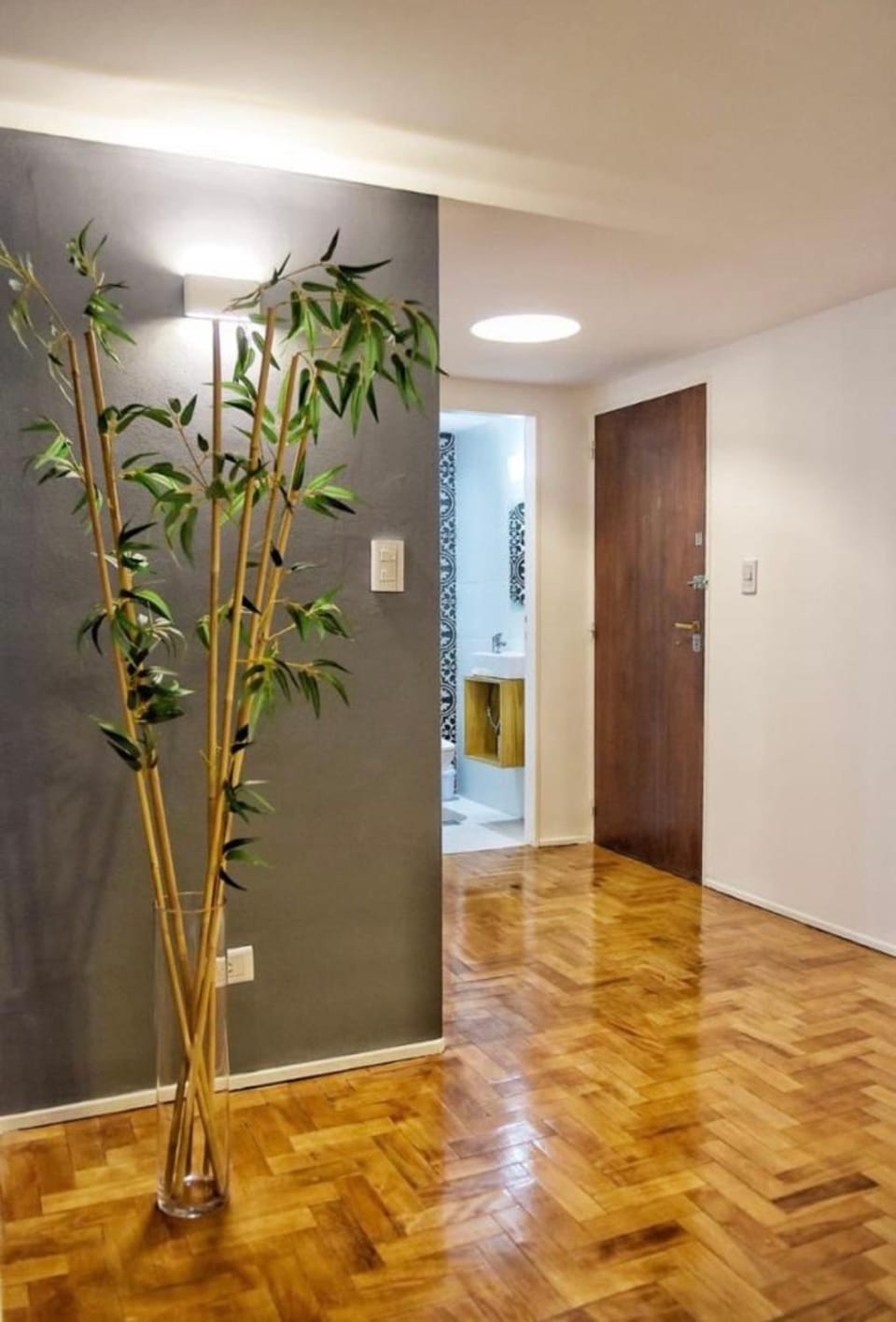 Departamento en peatonal Mendoza Apartment in Mendoza