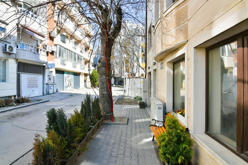 Property building, Day, Neighbourhood, Street view