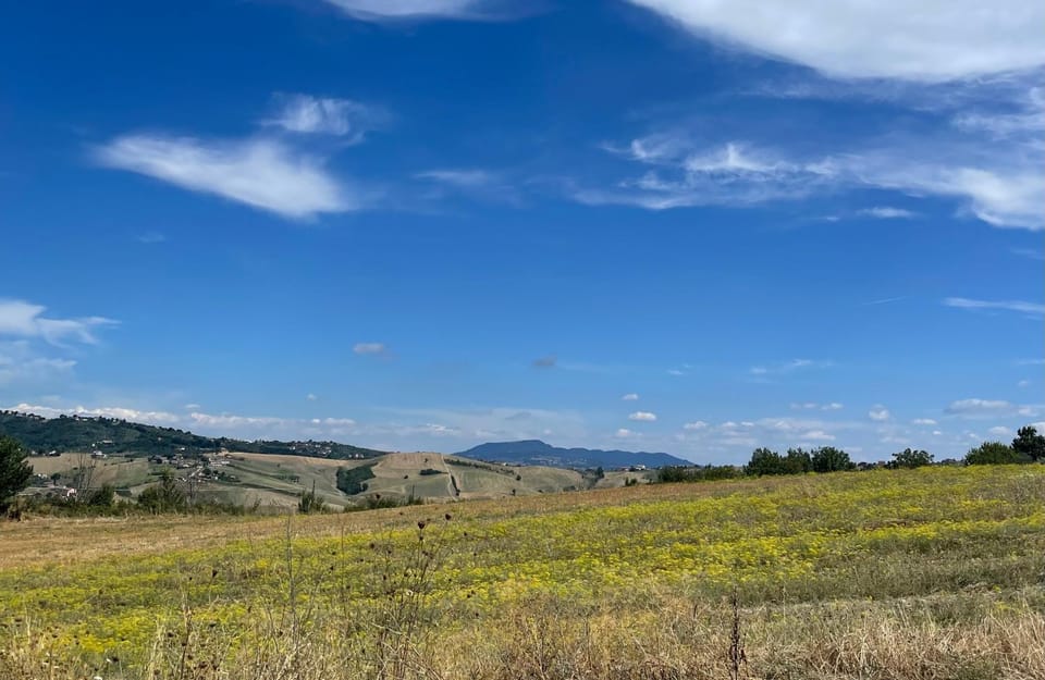Bed and Breakfast Dimora Peluso Bed and Breakfast in Campania
