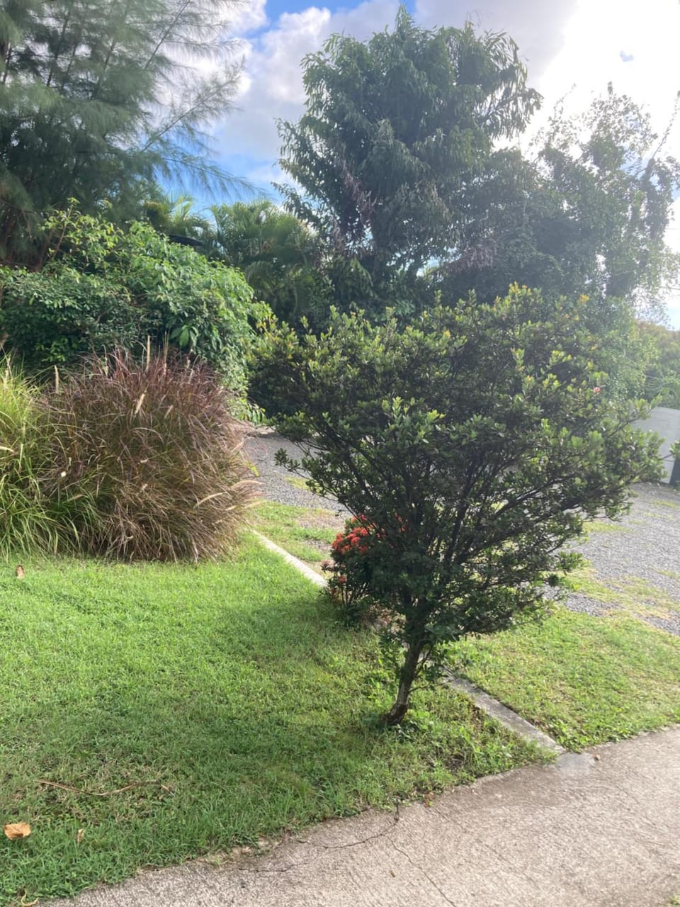 Property building, Garden view