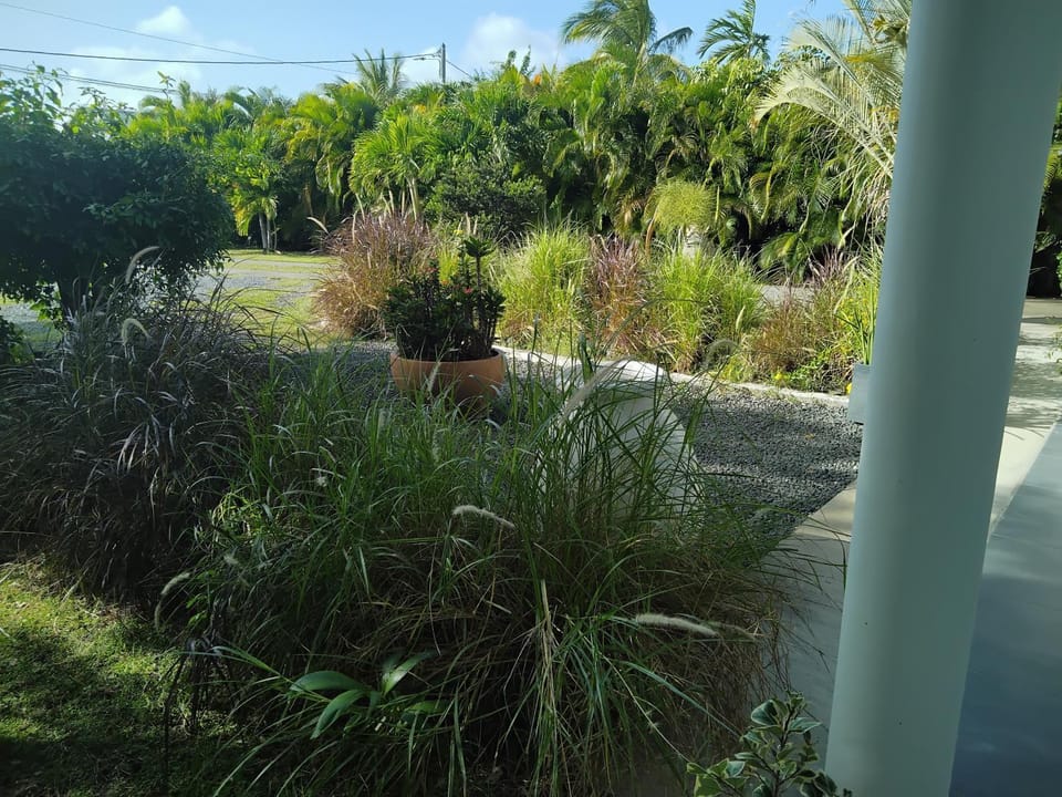 Natural landscape, Garden view