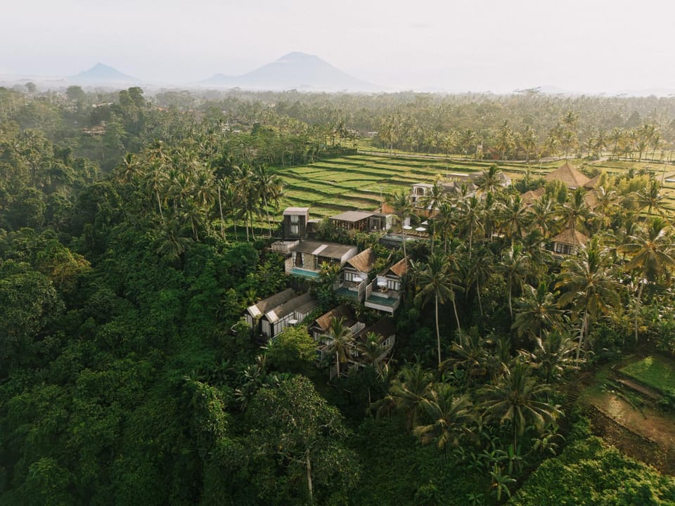 Natural landscape