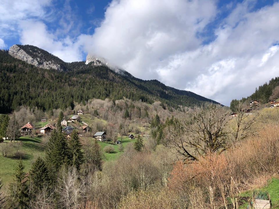 Mountain view