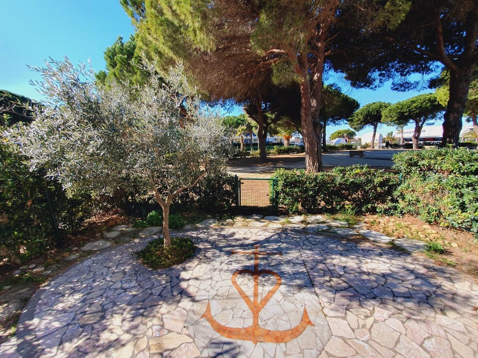 Patio, Garden, Garden view