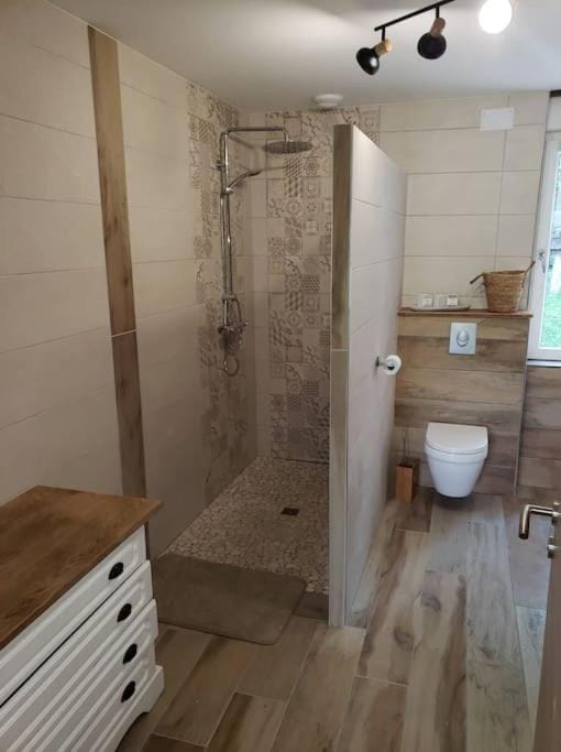 LE BORD DE SARRE avec PARKING PRIVATIF Apartment in Sarreguemines