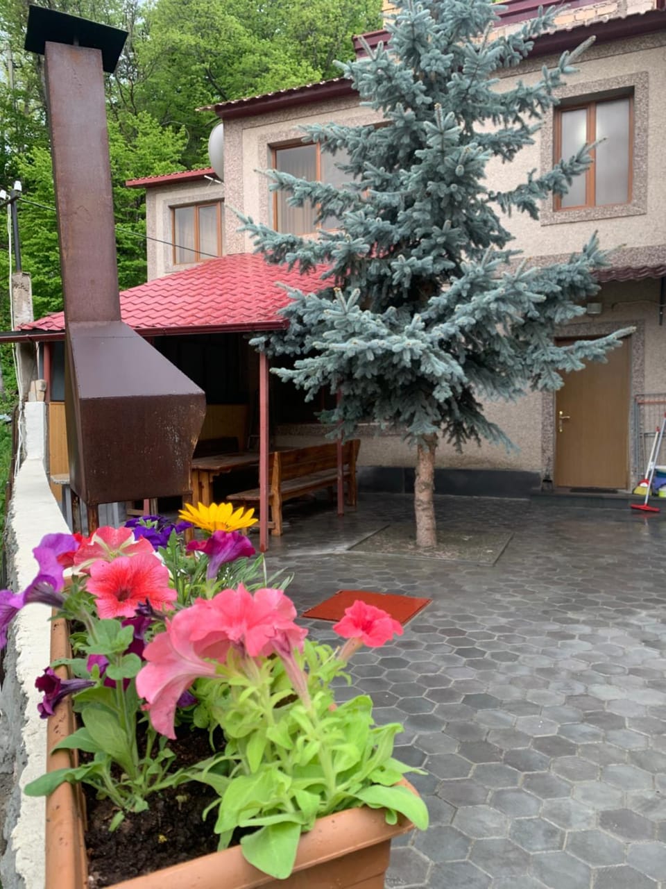 Spring, Day, Garden, Garden view