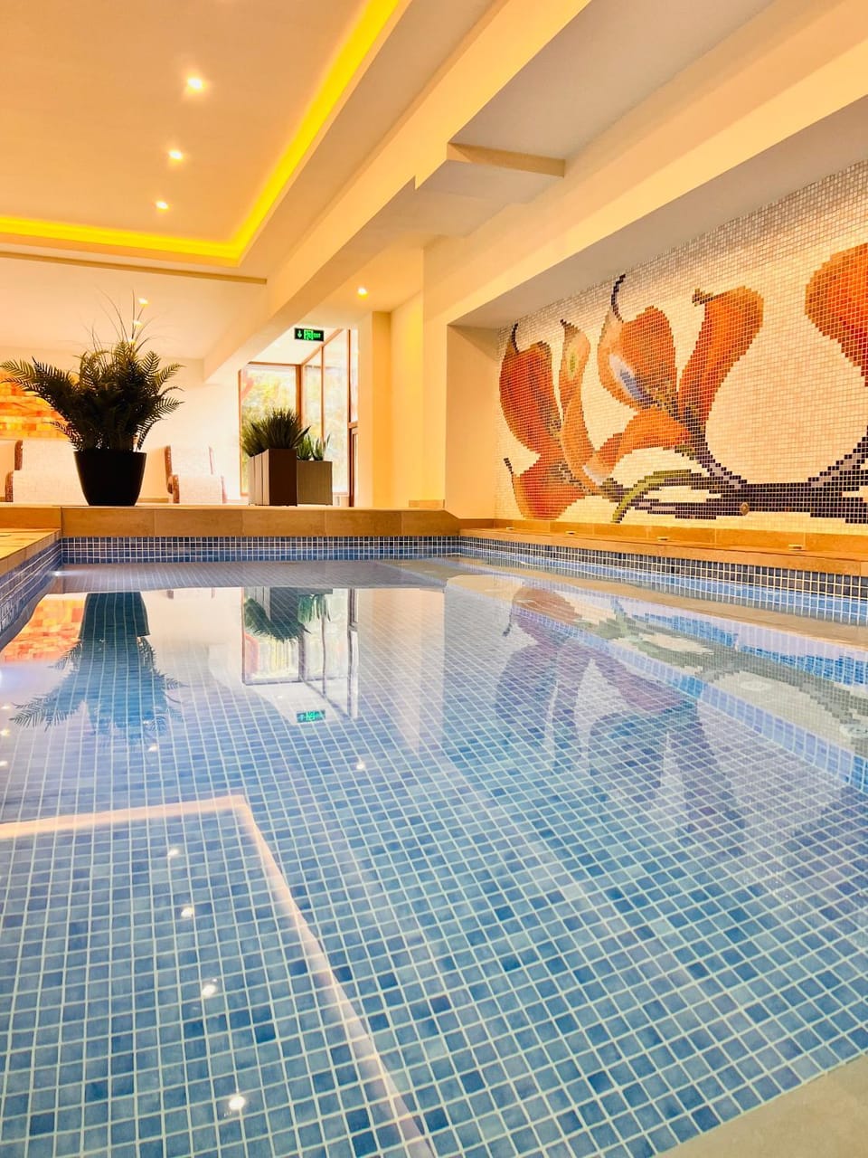 ArdoVel Park Hotel Hotel in Velingrad