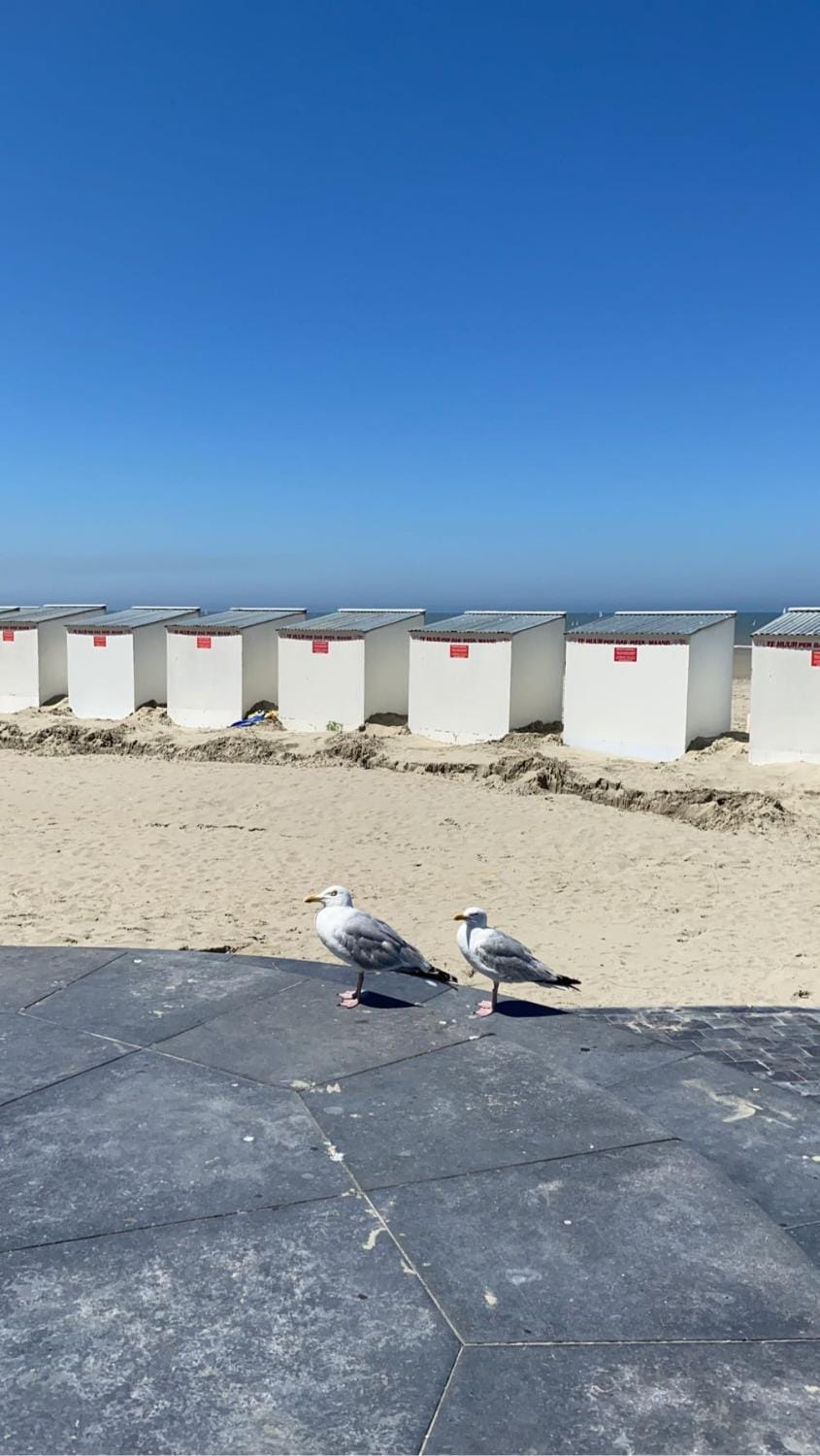 Day, Beach, Sea view