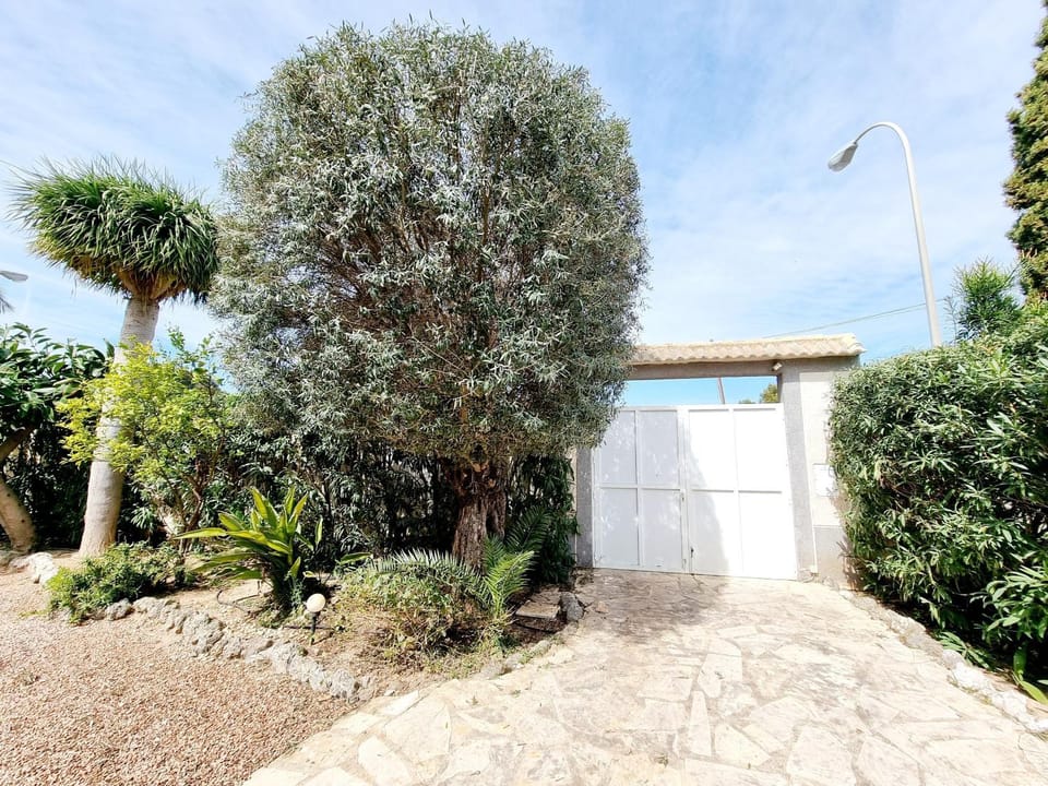 Garden, Parking