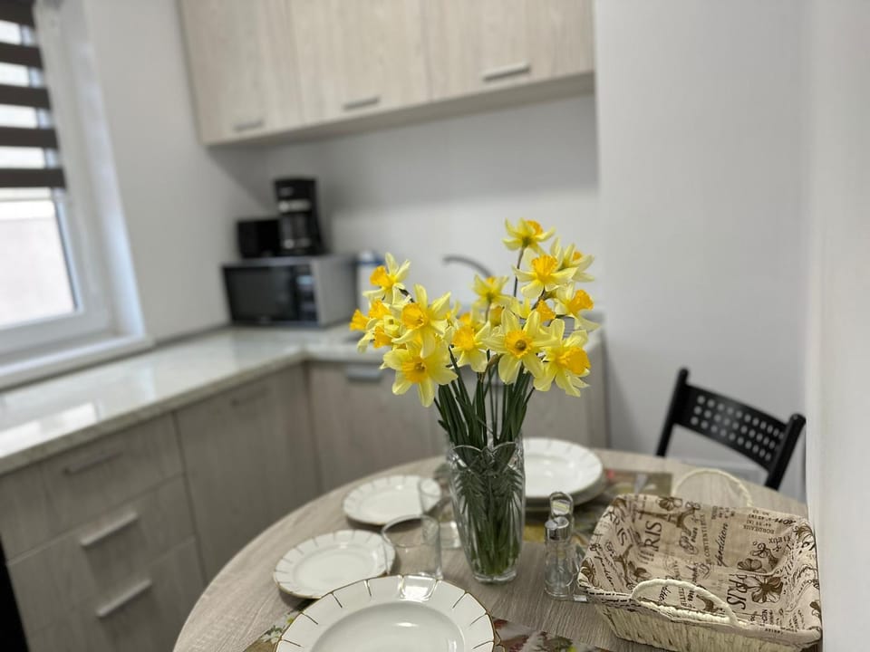 Kitchen or kitchenette, Dining area, minibar, stove