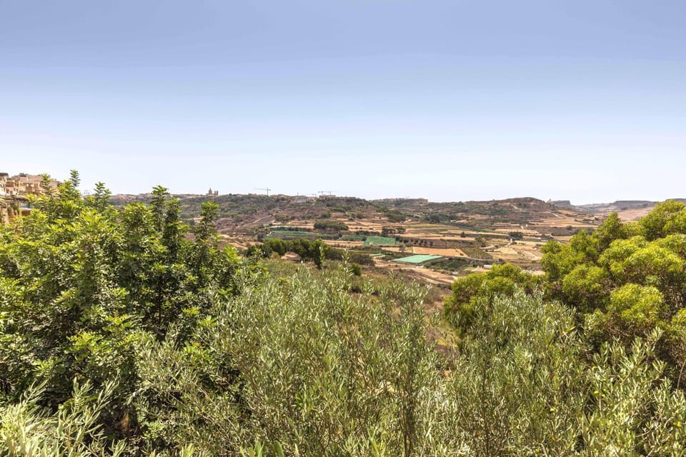 Natural landscape