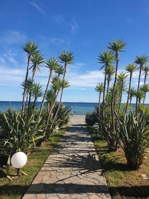 Appt dans résidence avec piscines et plage privées Apartment in Corsica
