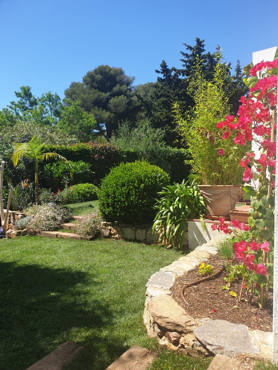 Natural landscape, Garden, Garden view