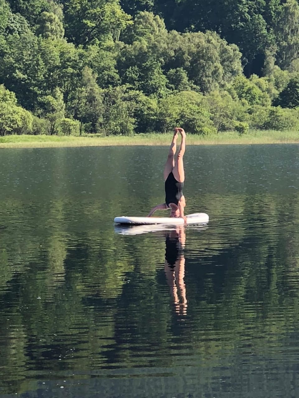 Sleeps 10. The Old pink library by loch and river House in Scotland