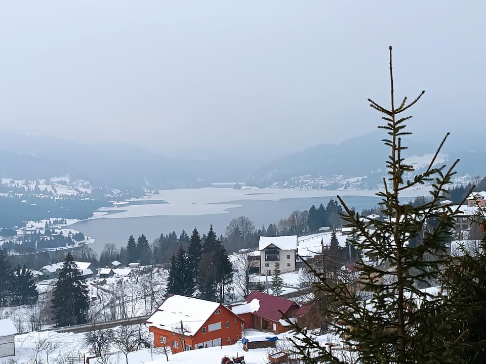 Lake view