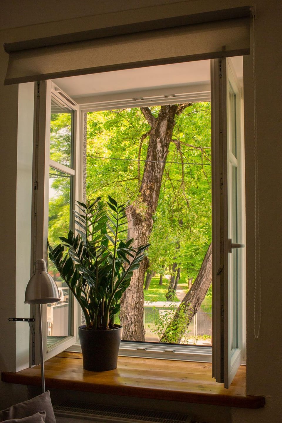 Kalamaja Park Apartment fast net 150 G, bath Apartment in Tallinn
