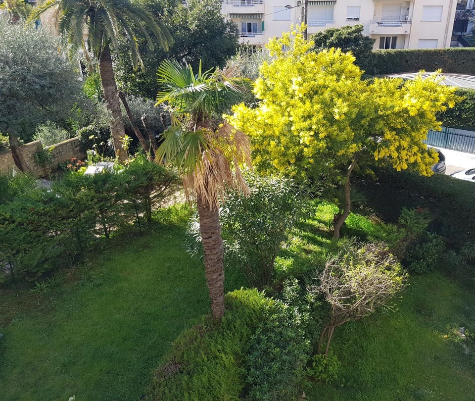 Natural landscape, Garden view