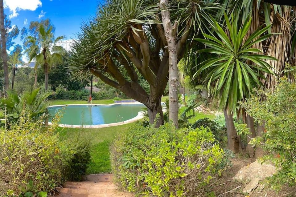Natural landscape, Garden view, Swimming pool
