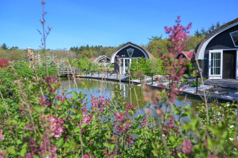 Natural landscape, View (from property/room), Lake view