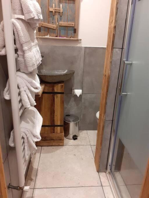 Shower, Toilet, Bathroom, towels