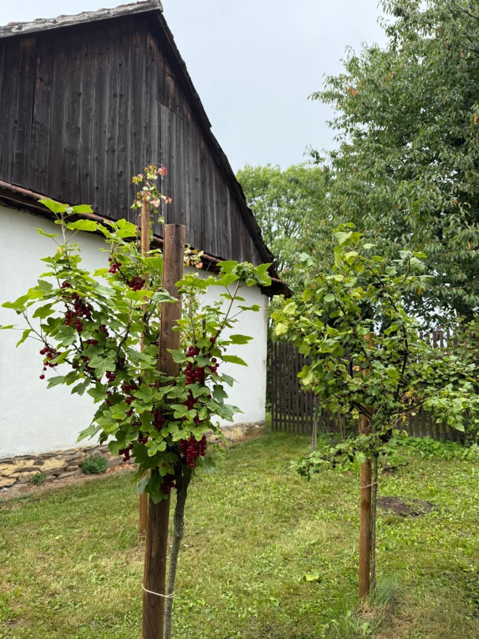 Spring, Day, Garden, Garden view