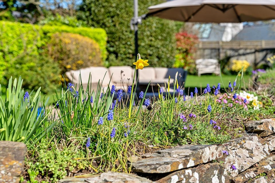 Patio, Spring, Day, Garden, Garden view
