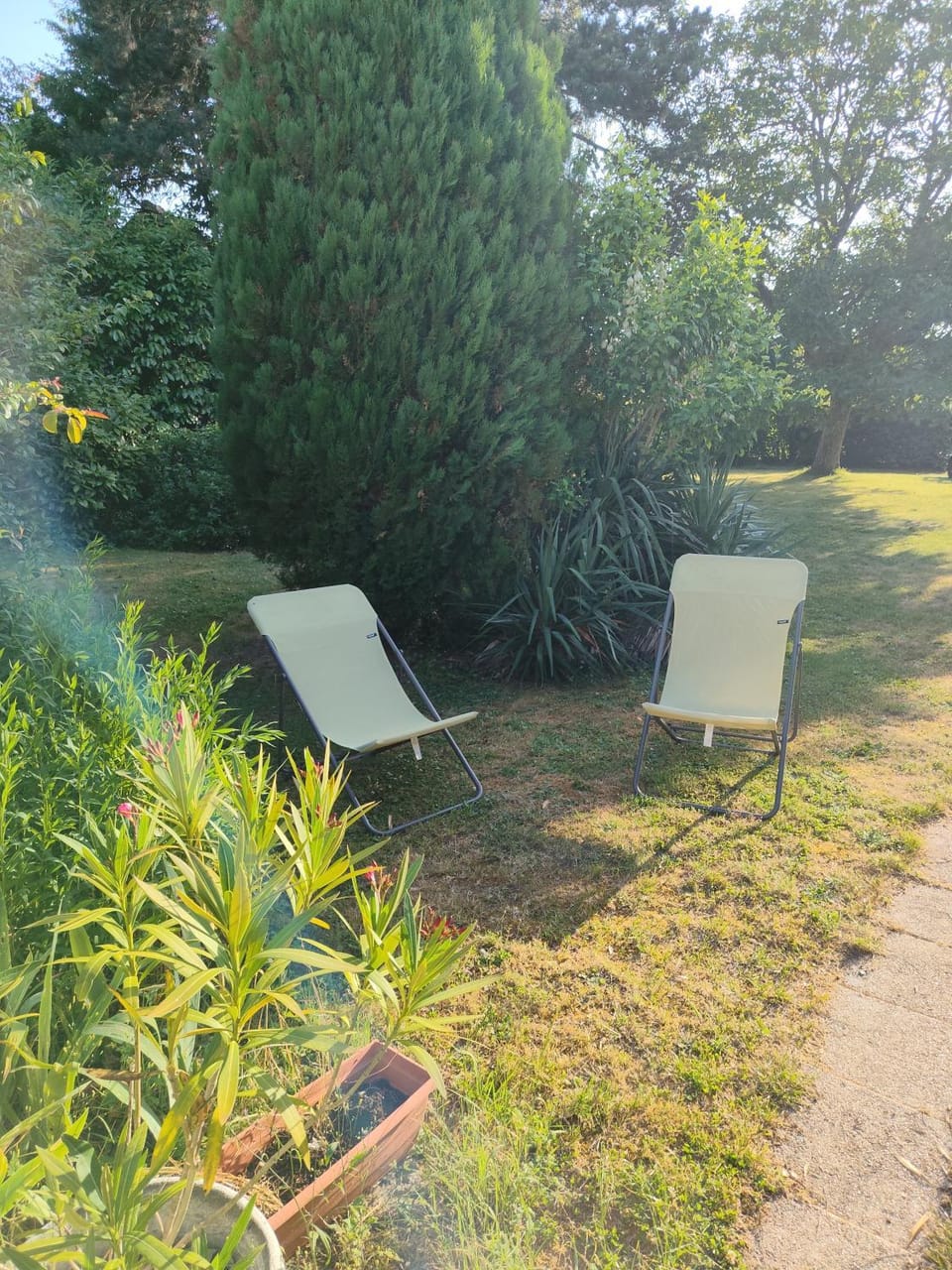 sunbed