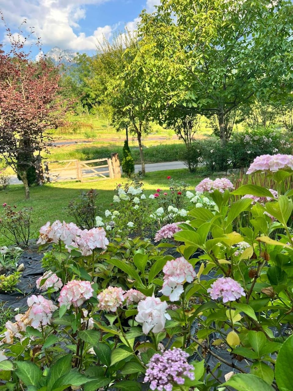 Day, Summer, Garden, Garden, Garden view, Garden view