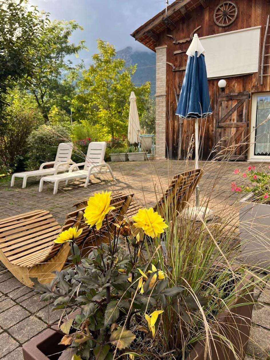 Garden, Solarium