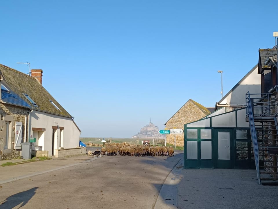 Maison au pied du Mont Saint Michel 2 House in Brittany